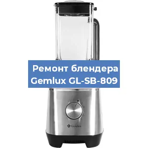 Замена щеток на блендере Gemlux GL-SB-809 в Красноярске